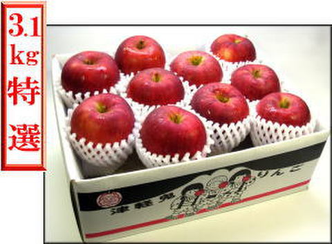 ▲林檎▲ 津軽鬼りんご フジタ林檎園