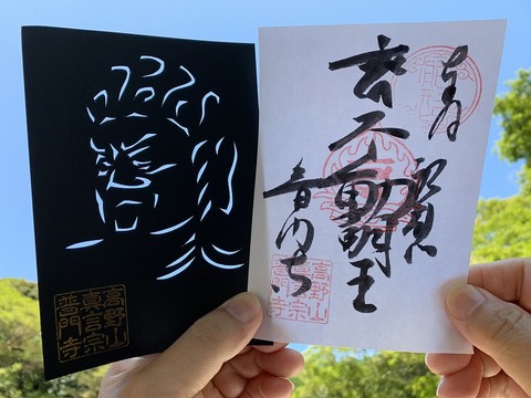 【不動明王】切り絵御朱印 ・通常御朱印セット -不動明王 横顔-