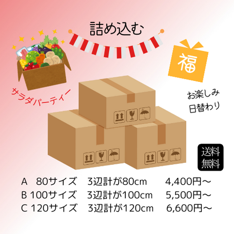 商品B：サラダパーティー