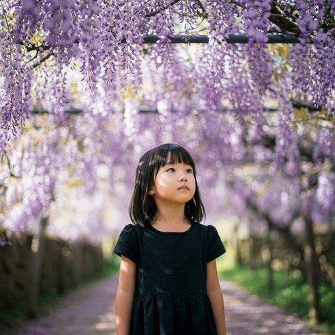 のあ
