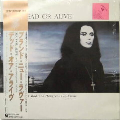 DEAD OR ALIVEの商品一覧 | ぶるうばあどRecords
