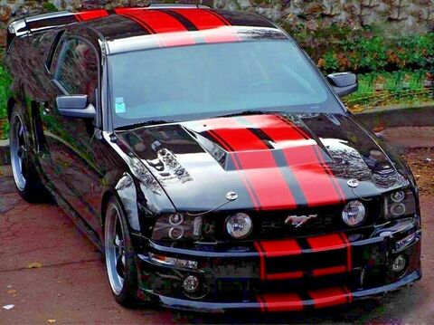 グラフィック デカール ステッカー 車体用 / フォード マスタング  5th 2005 2006 2007 2008 2013 / ストライプステッカー ボディキット