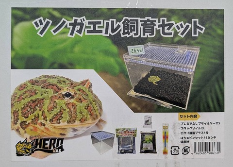 ツノガエル飼育セット