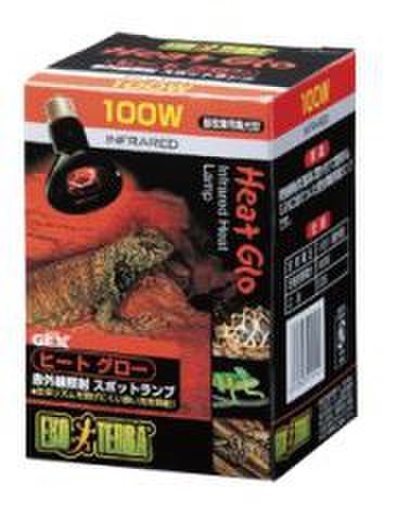ヒートグロー100ｗ　〔ｴｷｿﾞﾃﾗ〕 