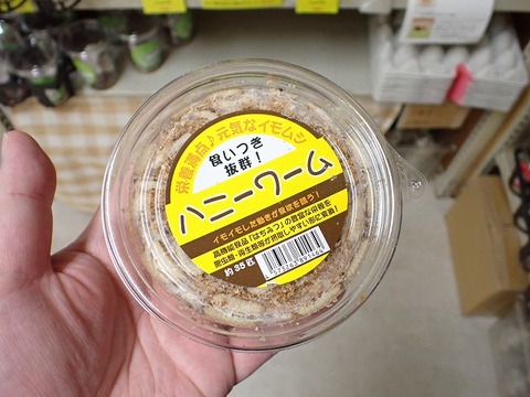 爬虫類倶楽部
