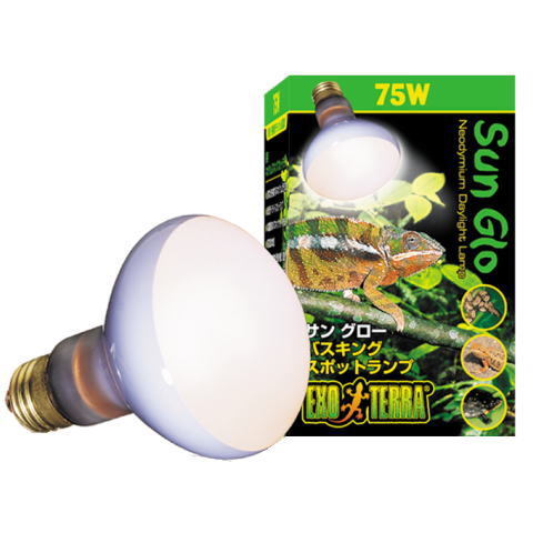 サングローバスキングスポットランプ 50w 〔エキゾテラ〕