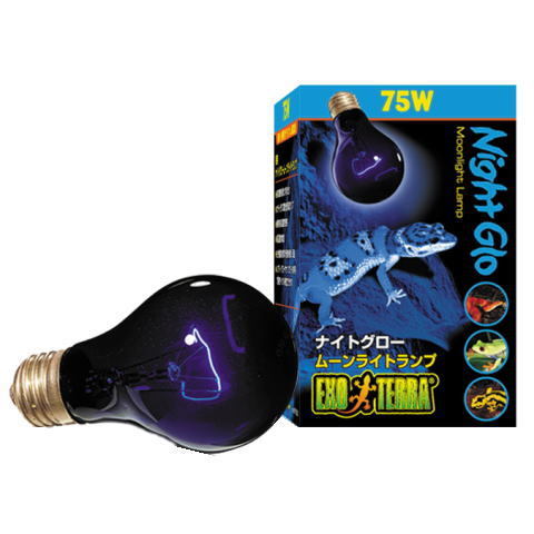 ナイトグロームーンライトランプ 75w　〔エキゾテラ〕