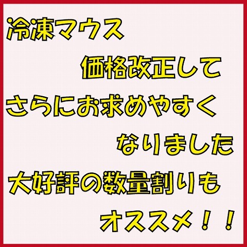 冷凍マウス価格改正　お安くなりました