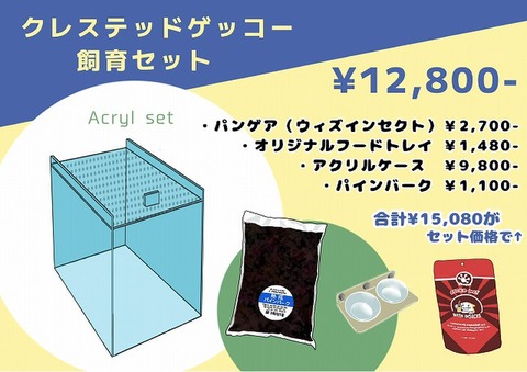 爬虫類ケージの商品一覧 | 爬虫類倶楽部 アクリルケージの商品一覧