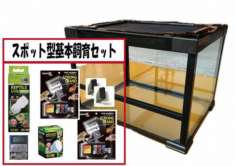 ｼﾝﾌﾟﾙ飼育ｾｯﾄ【60×45×60】 | 爬虫類倶楽部