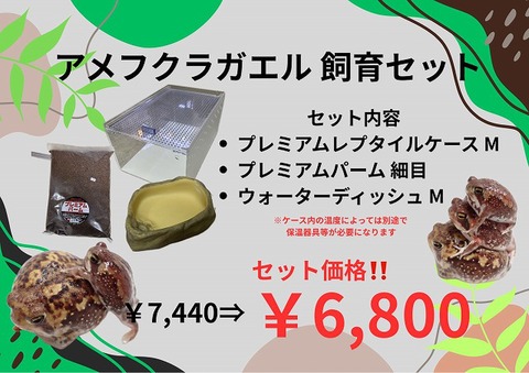 爬虫類ケージの商品一覧 | 爬虫類倶楽部 アクリルケージの商品一覧
