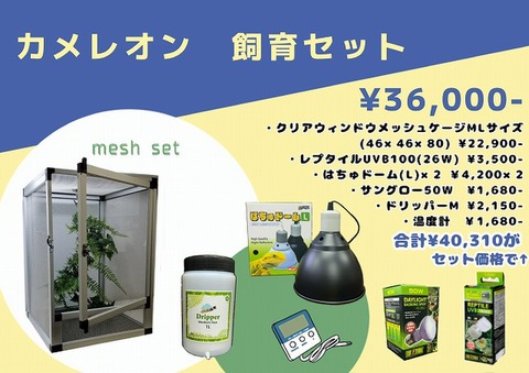 飼育セットの商品一覧 | 爬虫類倶楽部