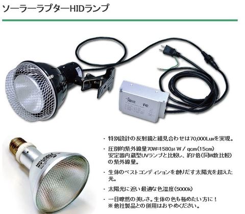 ソーラーラプターHIDランプセット【50w】〔ｾﾞﾝｽｲ〕