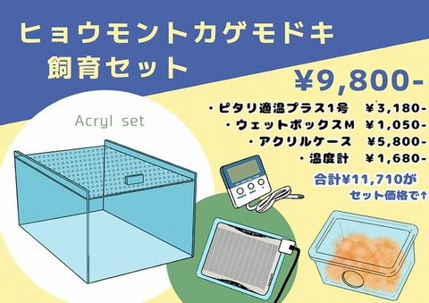 爬虫類ケージの商品一覧 | 爬虫類倶楽部 アクリルケージの商品一覧