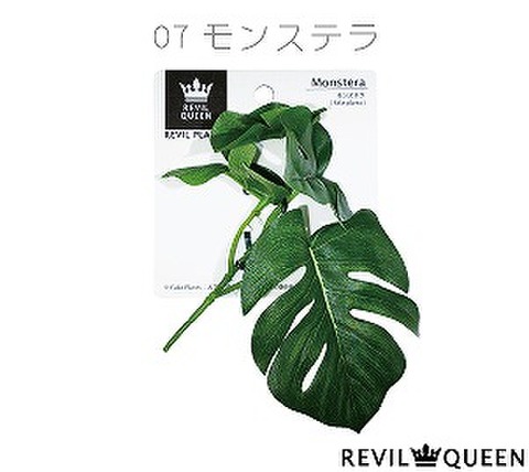 レビルプランツ07『モンステラ』〔ﾏﾒﾃﾞｻﾞｲﾝ〕