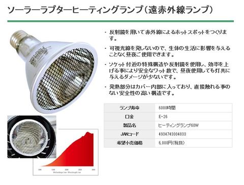 遠赤外線ヒーティングランプ【60w】　〔ｾﾞﾝｽｲ〕
