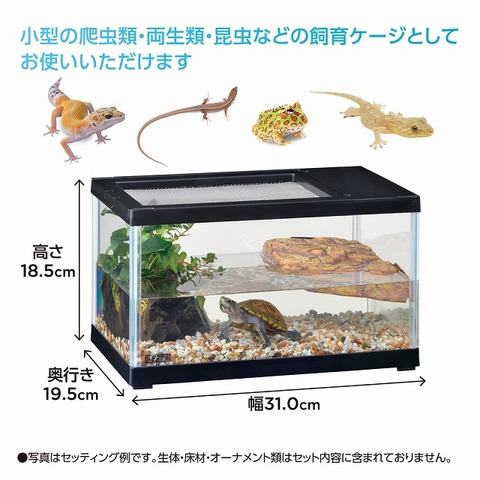 爬虫類ケージの商品一覧 | 爬虫類倶楽部