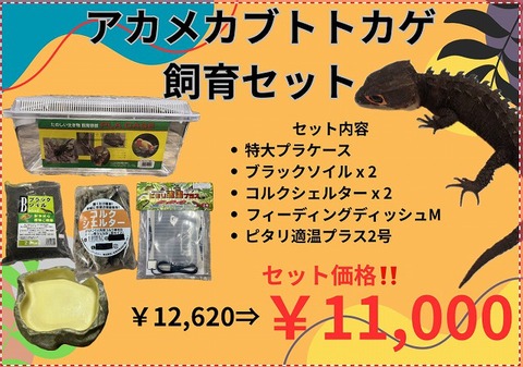 飼育セットの商品一覧 | 爬虫類倶楽部