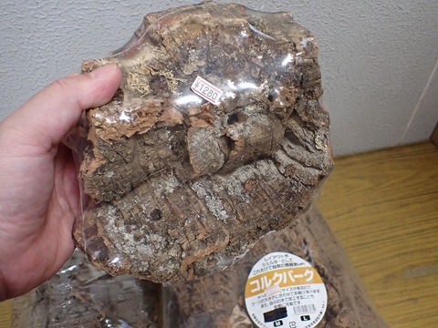 コルクの商品一覧 | 爬虫類倶楽部 コルクシェルター／バックボードの