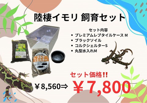 爬虫類ケージの商品一覧 | 爬虫類倶楽部 アクリルケージの商品一覧