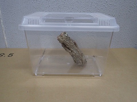 爬虫類ケージの商品一覧 | 爬虫類倶楽部