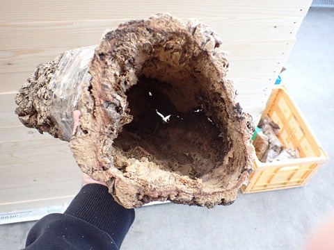 コルクの商品一覧 | 爬虫類倶楽部 コルクパイプの商品一覧 | 爬虫類倶楽部
