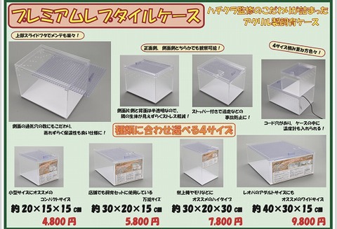 ハチクラ監修 プレミアムレプタイルケース 400×300×150mmサイズ