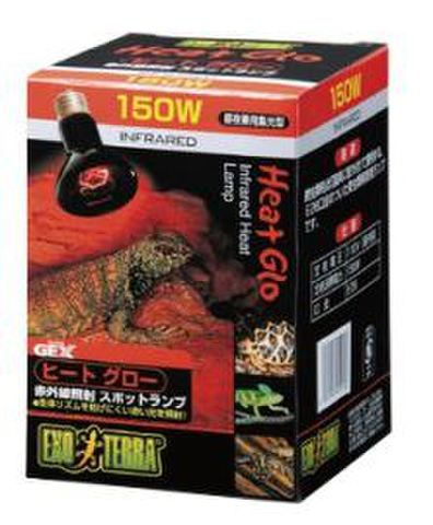 ヒートグロー150ｗ　〔ｴｷｿﾞﾃﾗ〕 