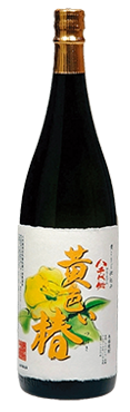 黄色い椿1.8L瓶　