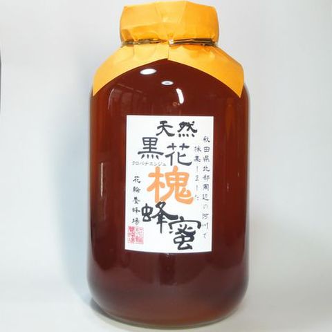 秋田県産黒花槐蜂蜜２４００