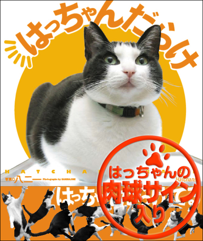 写真集「はっちゃんだらけ」はっちゃん肉球サイン入り