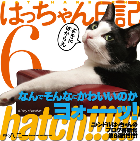 写真集「はっちゃん日記６」