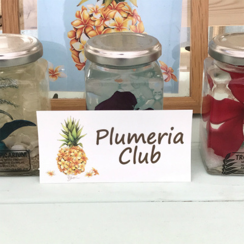 【Yuki Board Works】PINAPPLLE PLUMERIA 耐水・耐光性ステッカー角形（ゆうパケットにて発送）