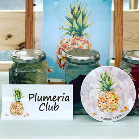 【Yuki Board Works】PINAPPLLE PLUMERIA 耐水・耐光性ステッカー ２枚セット（ゆうパケットにて発送）