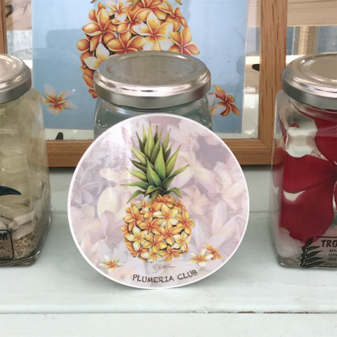 【Yuki Board Works】PINAPPLLE PLUMERIA 耐水・耐光性ステッカー丸型（ゆうパケットにて発送）