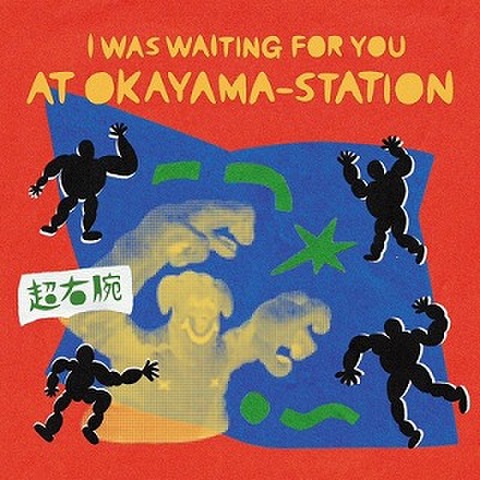 Hawaii Record Online Shop