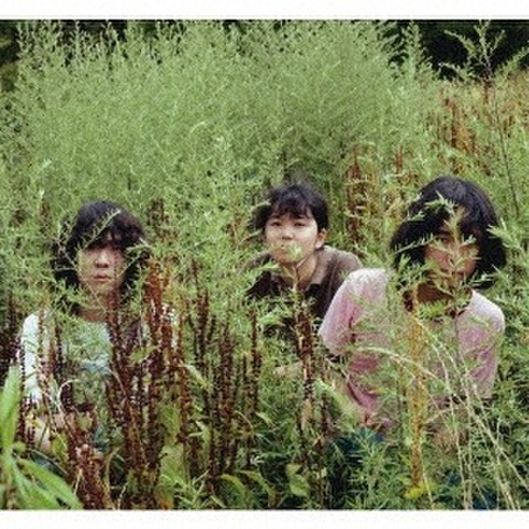 商品一覧 | Hawaii Record Online Shop