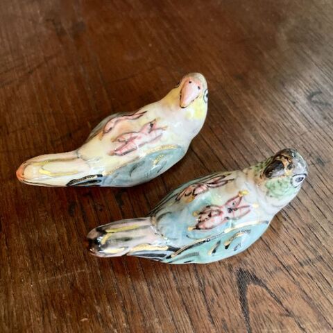 こまつか苗の商品一覧 | ひなた