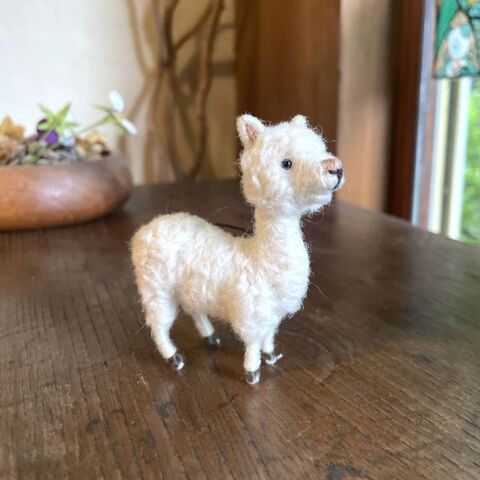 ひなた