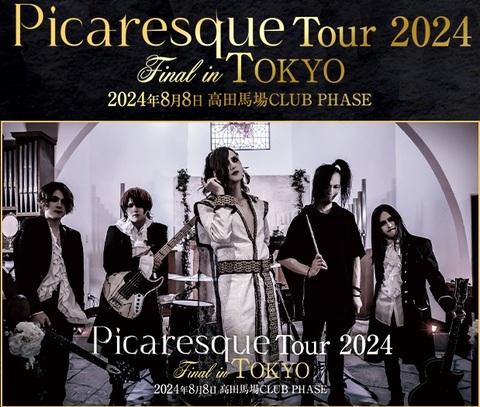 ダウンロードカード「Picaresque Tour 2024 FINAL」