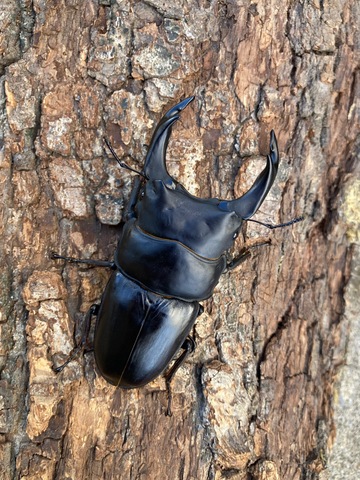 ❦まとめ買い値引き◎❦さま確認専用画面♪】 ギフト ウッドバーニング