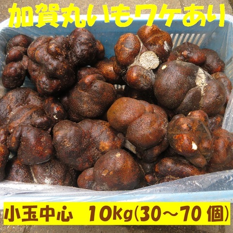 つくね芋・丹波山の芋・ブランド京野菜オンラインショップ『芋家なか吉』