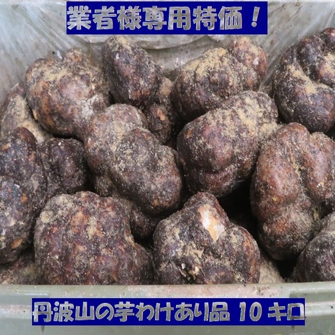 商品一覧 | つくね芋・丹波山の芋・ブランド京野菜オンラインショップ