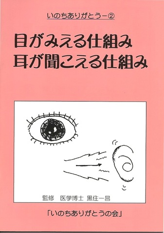 目が見える仕組み・耳が聞こえる仕組み　赤－２