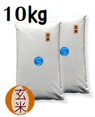 7年新潟産こしいぶき玄米5kg×2袋【玄米選別済】
