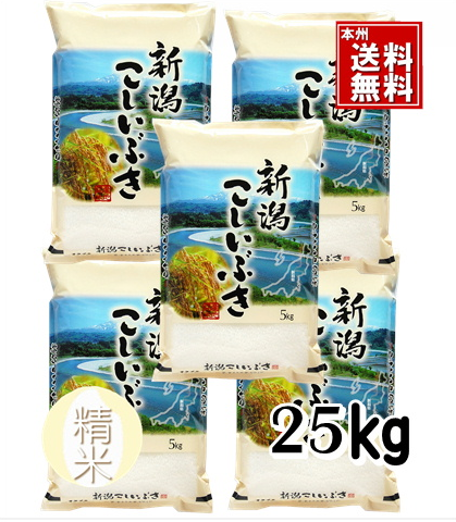 7年新潟産こしいぶき精米5㎏×5　新米