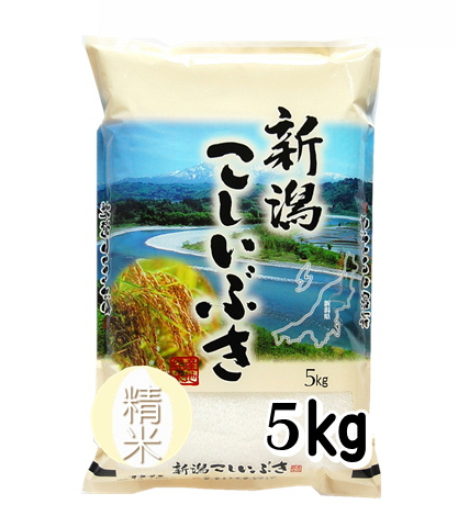 7年新潟産こしいぶき精米5kg　新米