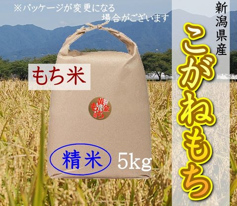 7年産新潟産こがねもち 　精米5㎏ 新米