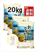 7年新潟産こしいぶき　精米5㎏×4　新米