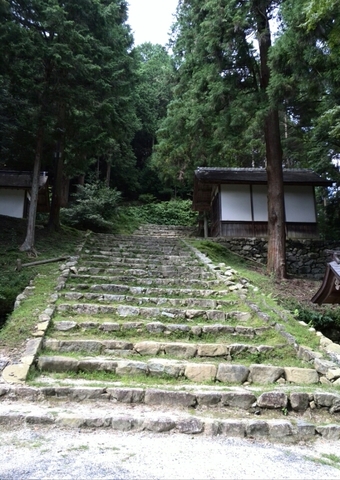 憂いなし